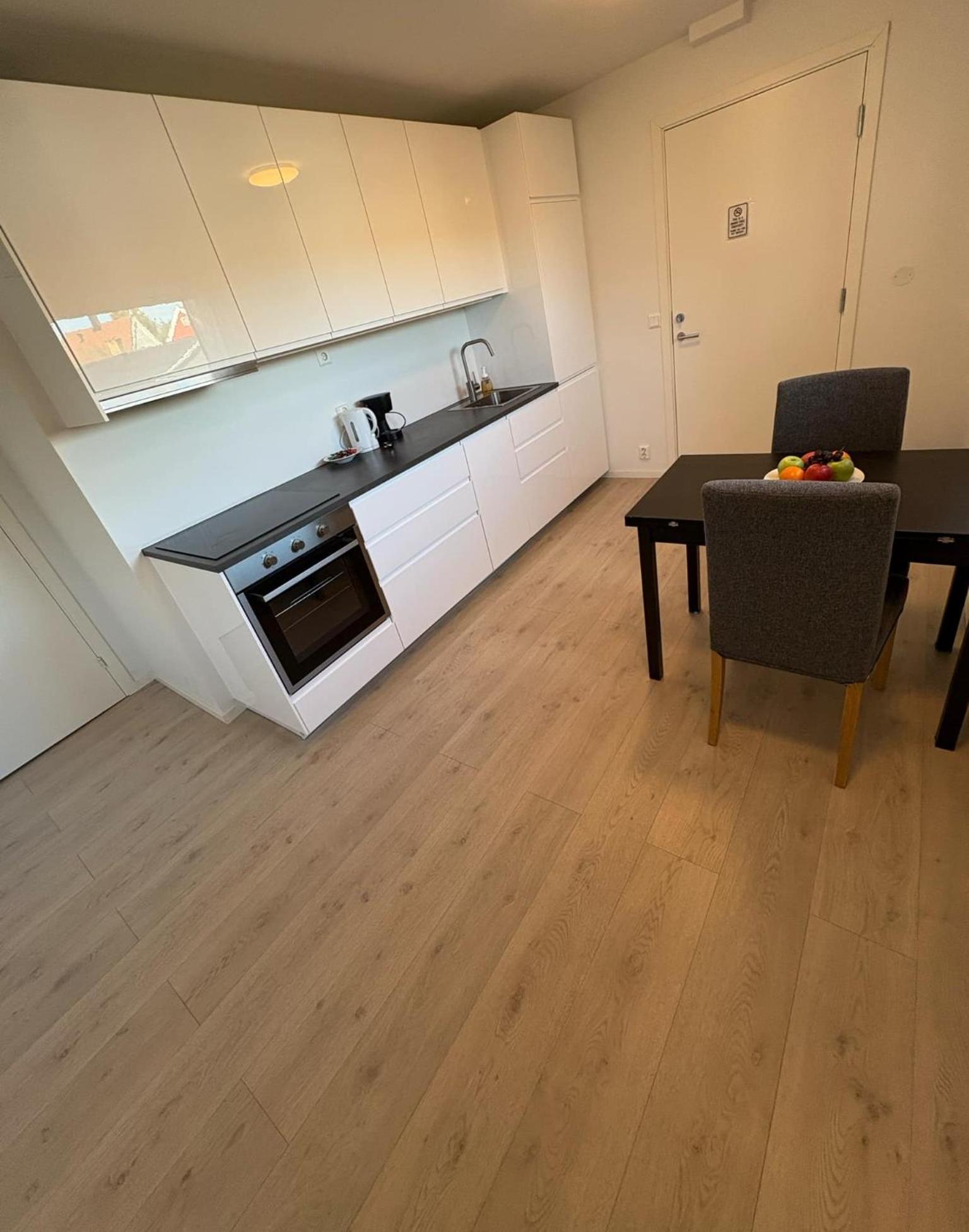 Temis Apartment, Private New 1 Bed Room And 1 Living Room With Sofa Bad And Lagre Kitchen, Share With Nobody Oslo Exterior foto