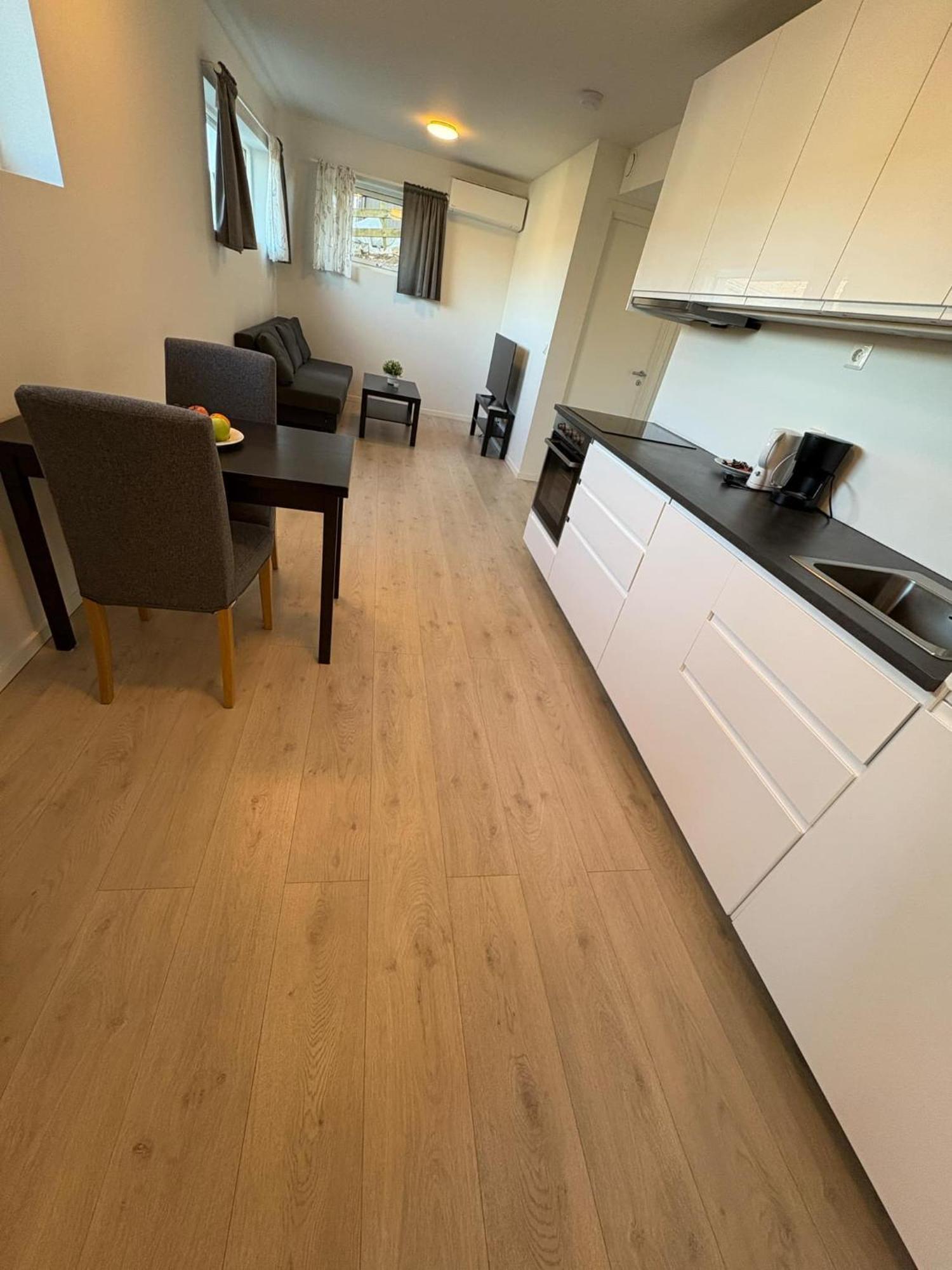 Temis Apartment, Private New 1 Bed Room And 1 Living Room With Sofa Bad And Lagre Kitchen, Share With Nobody Oslo Exterior foto